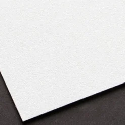 Carta da parati carta geografica vintage monocolore