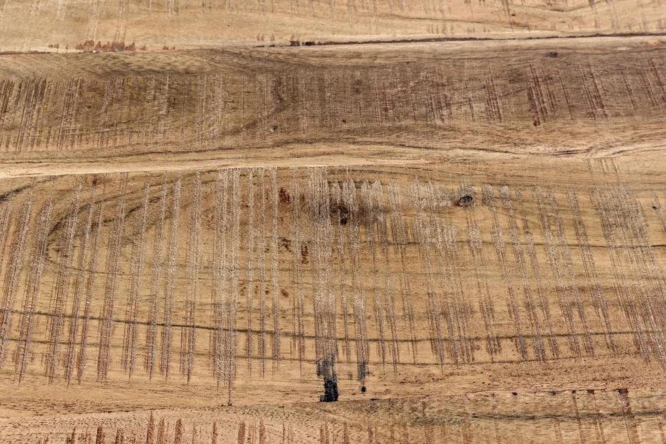 Madia 2 ante e 3 cassetti Elmer in legno d'acacia disponibile in 2 misure