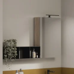 Pensile Specchio contenitore con 1 anta tutto specchio disponibile in 5 misure e vari colori