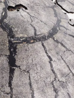 Planisfero da parete in tre misure - legno grigio