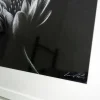 Quadro su cornice in legno "fiore" Leonardo Criolani