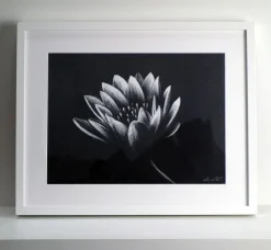 Quadro su cornice in legno