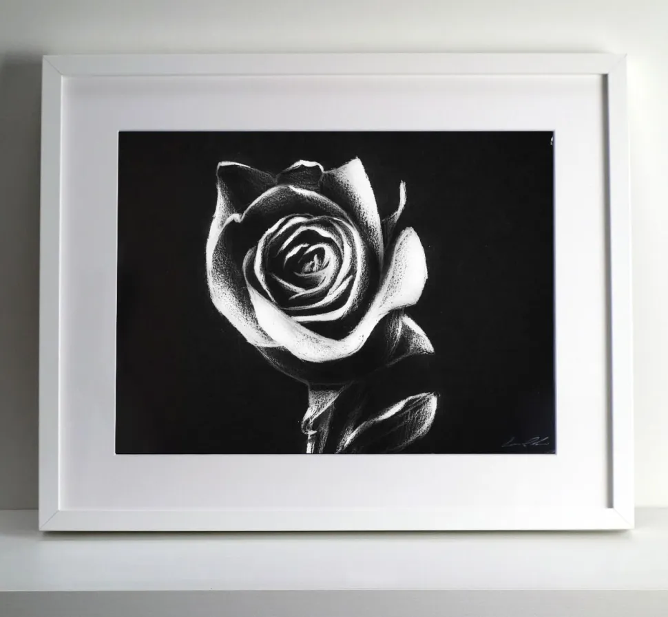 Quadro su cornice in legno, Rosa bianca, di Leonardo Criolani