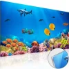 Quadro su vetro acrilico Aquarium