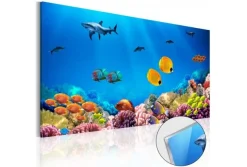 Quadro su vetro acrilico Aquarium