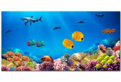 Quadro su vetro acrilico Aquarium