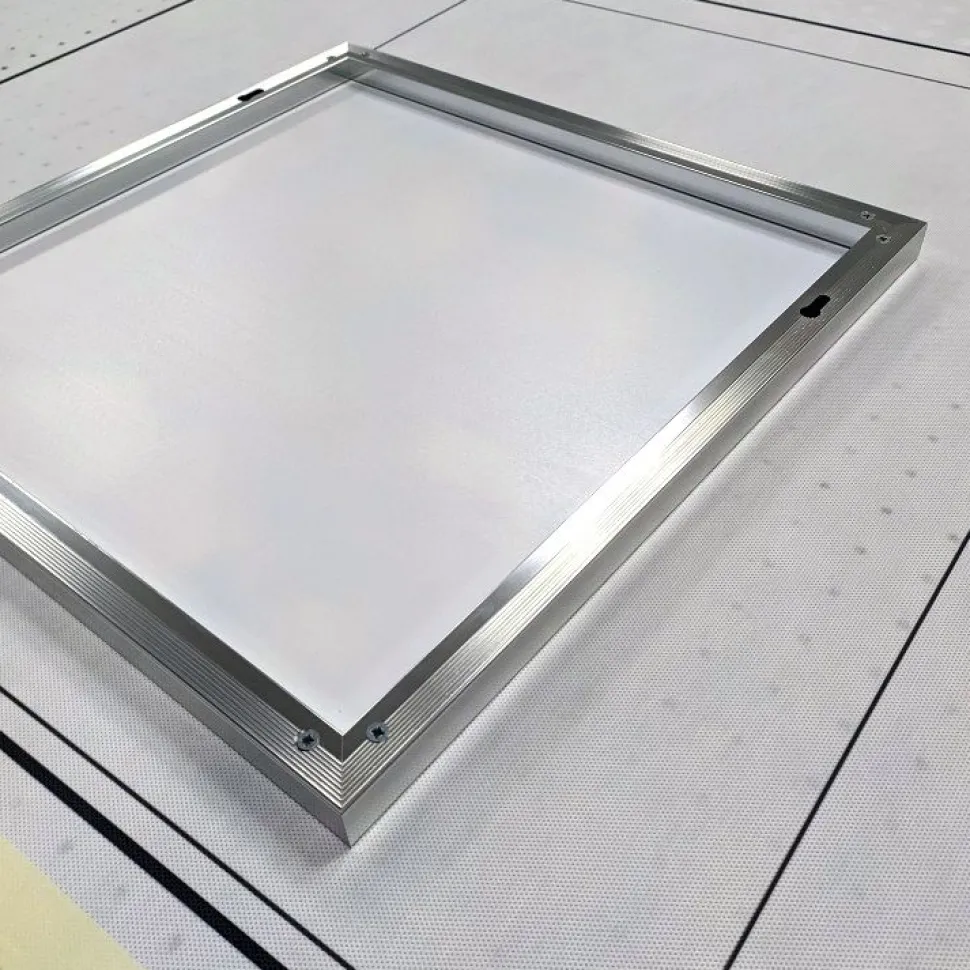 Quadro su vetro acrilico Bud