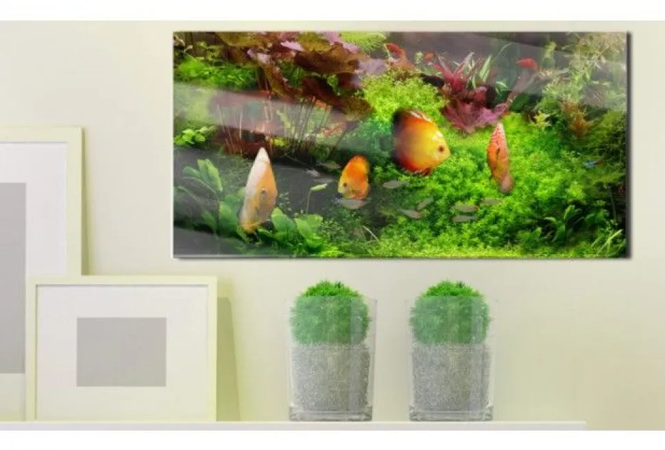 Quadro su vetro acrilico Fish Friend