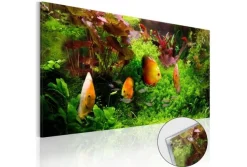 Quadro su vetro acrilico Fish Friend