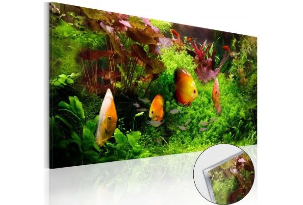 Quadro su vetro acrilico Fish Friend