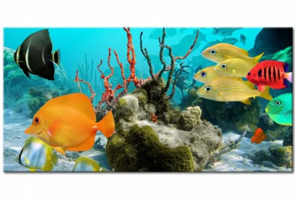 Quadro su vetro acrilico Fish