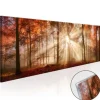 Quadro su vetro acrilico Forest 2