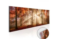 Quadro su vetro acrilico Forest 2
