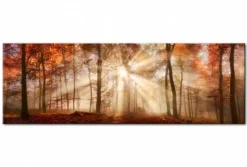 Quadro su vetro acrilico Forest 2