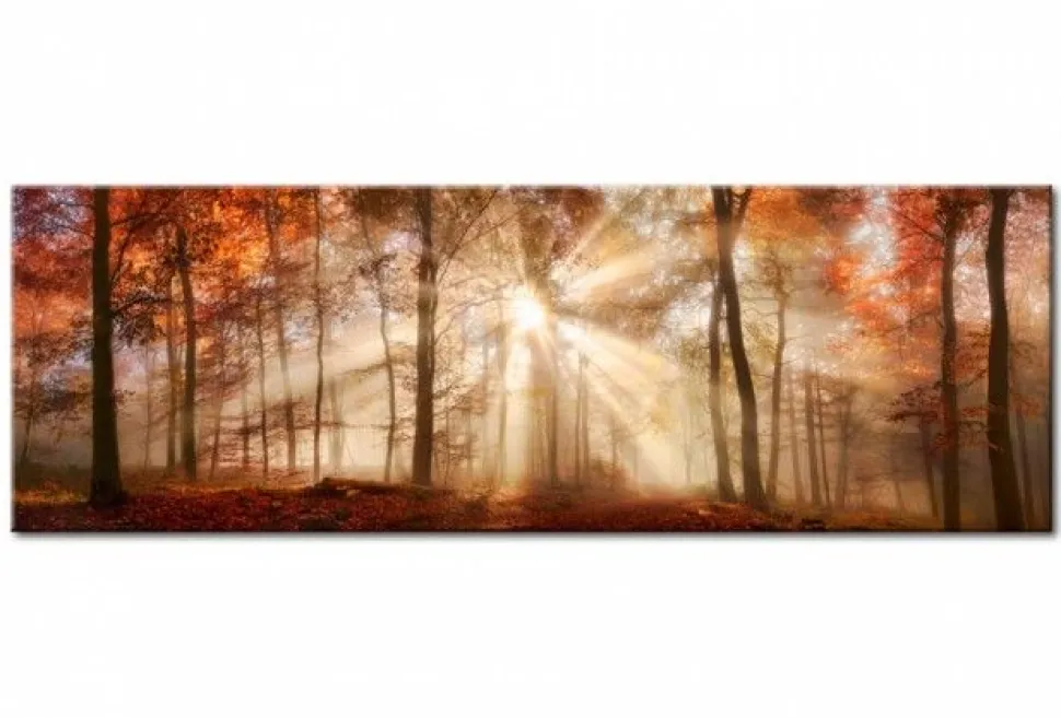 Quadro su vetro acrilico Forest 2