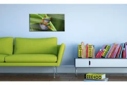 Quadro su vetro acrilico Frog
