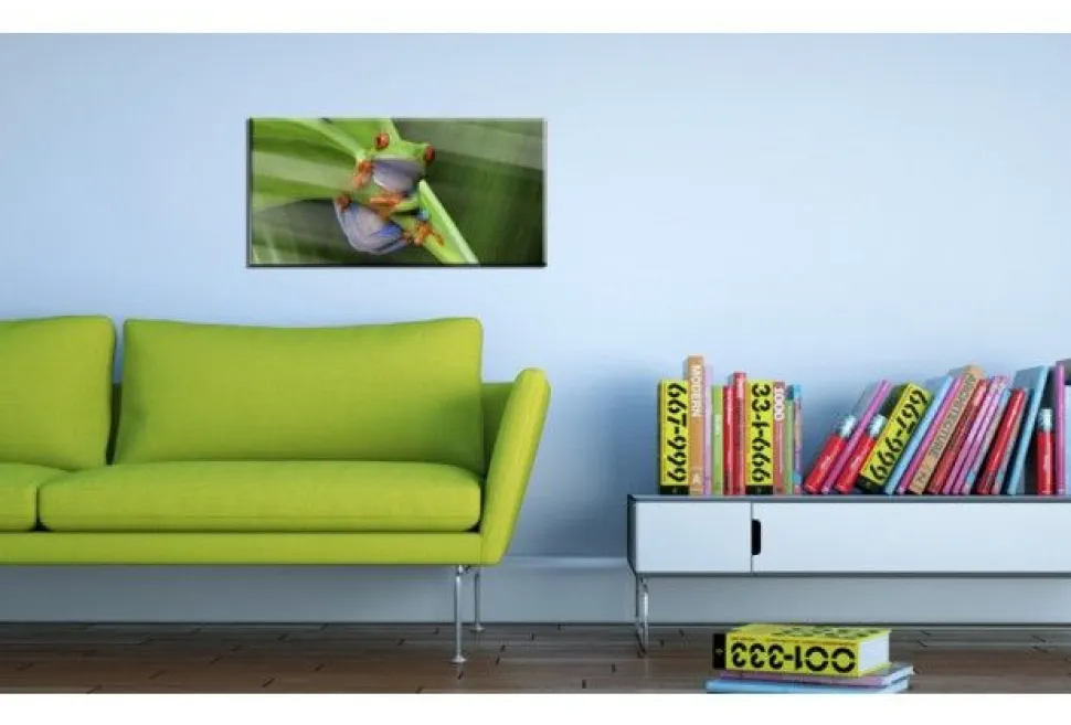Quadro su vetro acrilico Frog