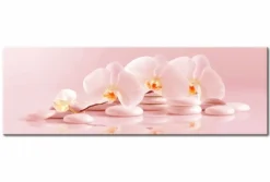 Quadro su vetro acrilico Orchidea