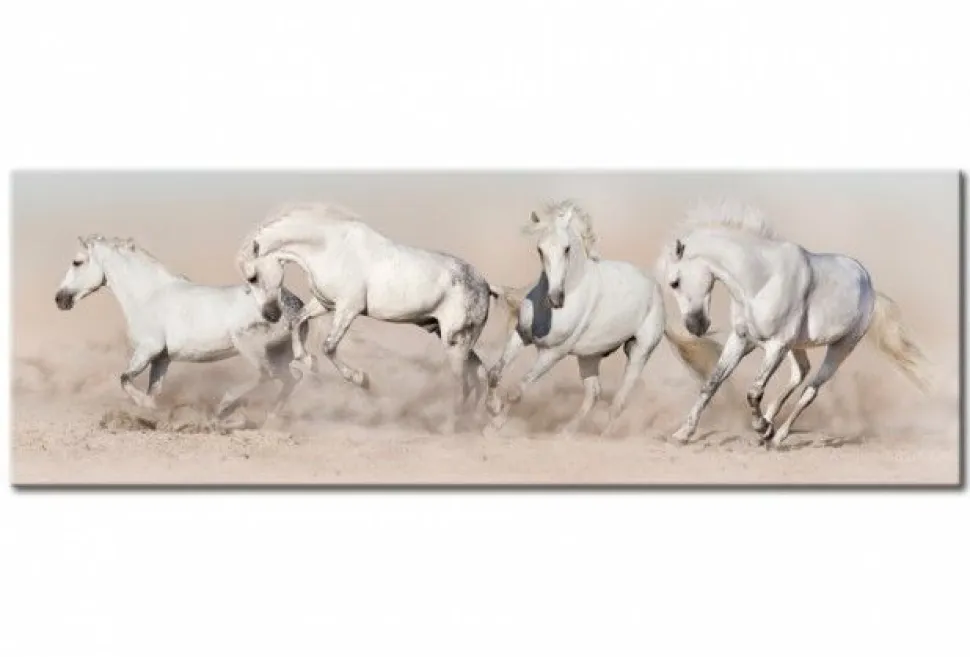 Quadro su vetro acrilico Race Horse