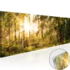Quadro su vetro acrilico Summer Greenwood