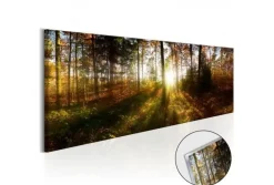 Quadro su vetro acrilico Wonder