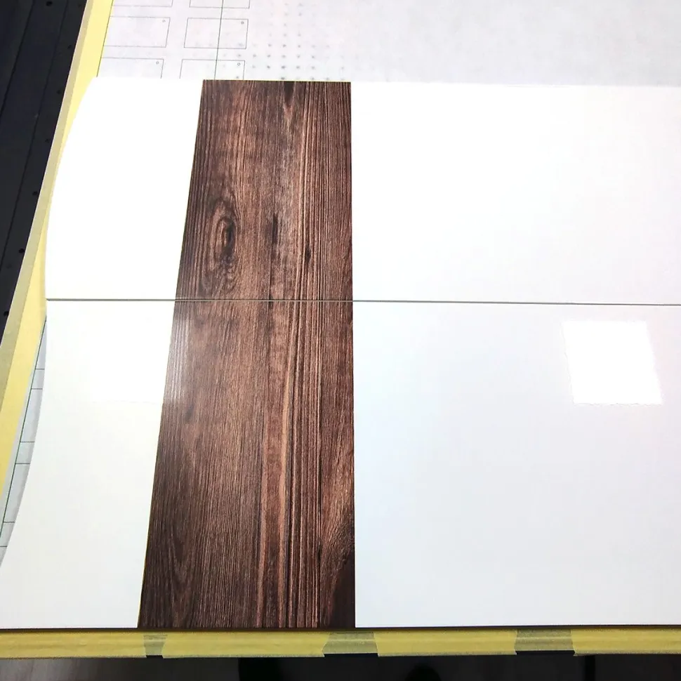 Scarpiera Moderna a 2 Ante in Bianco Lucido con Serigrafia Effetto Legno (Personalizzabile)