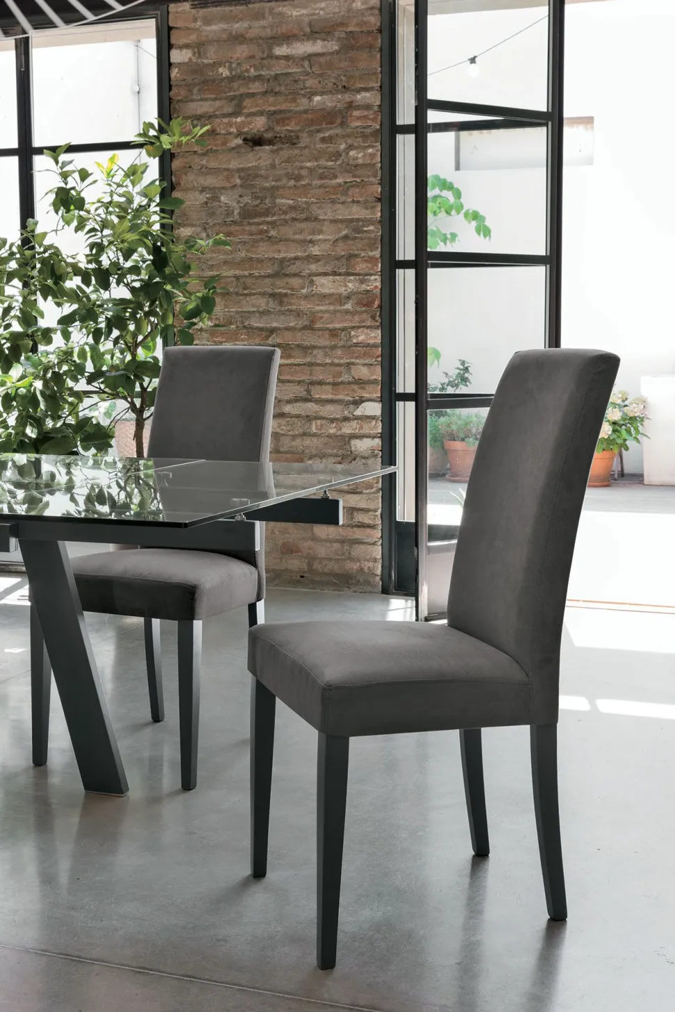 Sedia con struttura in legno e seduta imbottita Lugano disponibile in 6 colori