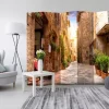 Separè Alley