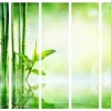 Separè Bamboo