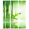 Separè Bamboo 2