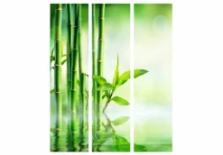Separè Bamboo 2
