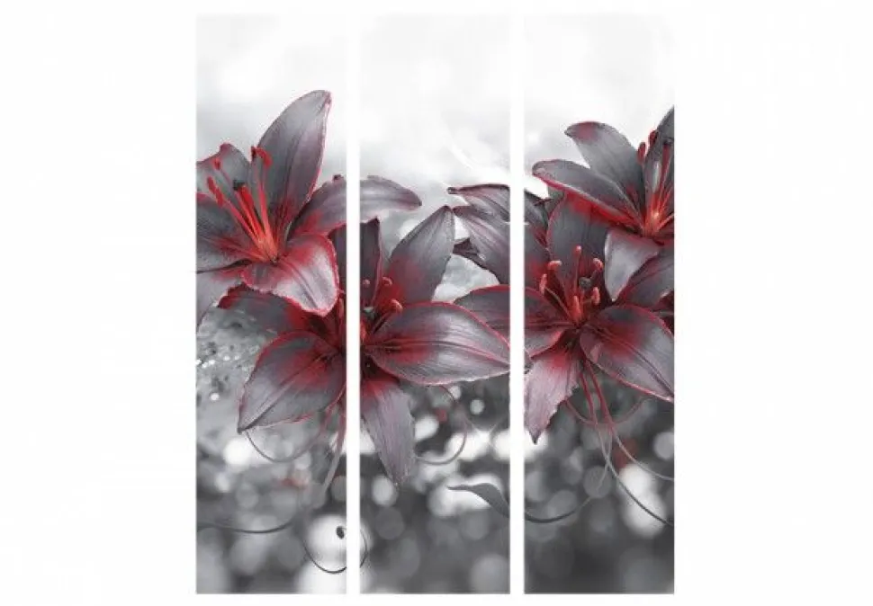 Separè Black & Red 2