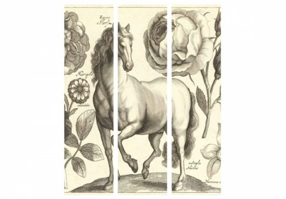 Separè Cheval 2