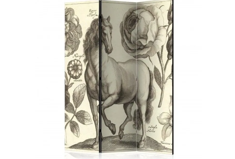 Separè Cheval 2