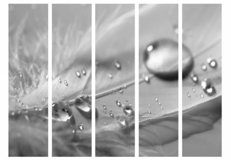 Separè Dash