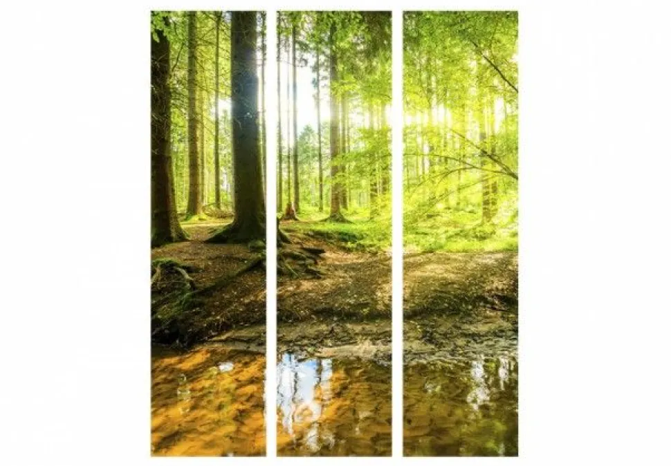 Separè Forest 2