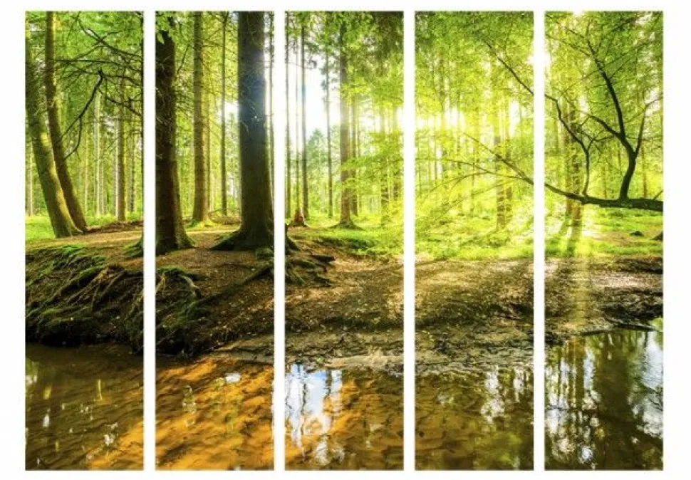 Separè Forest
