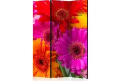 Separè Gerbera 2