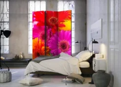 Separè Gerbera 2