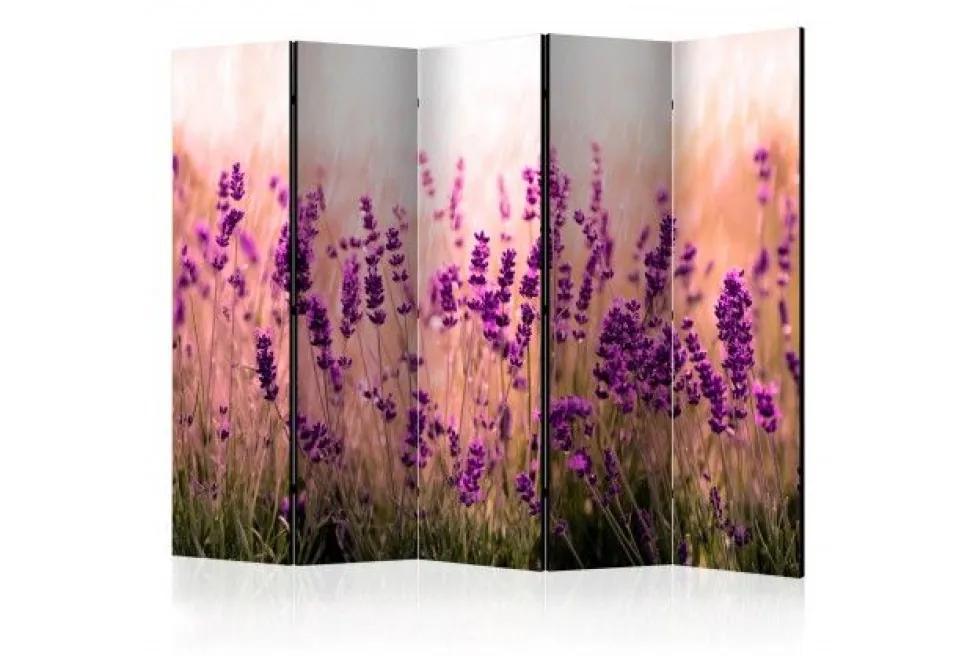 Separè Lavanda