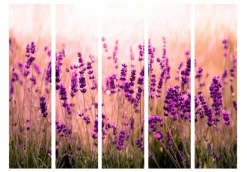 Separè Lavanda