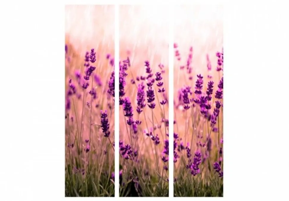 Separè Lavanda 2