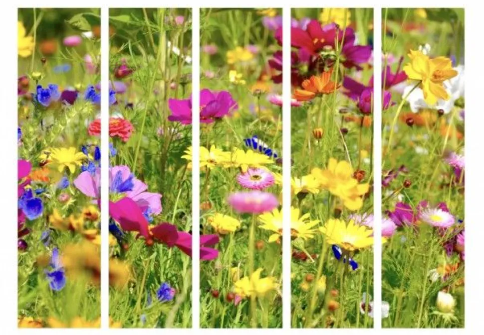 Separè Meadow
