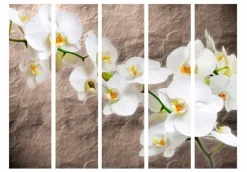 Separè Orchidèe