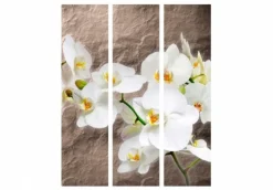 Separè Orchidèe 2