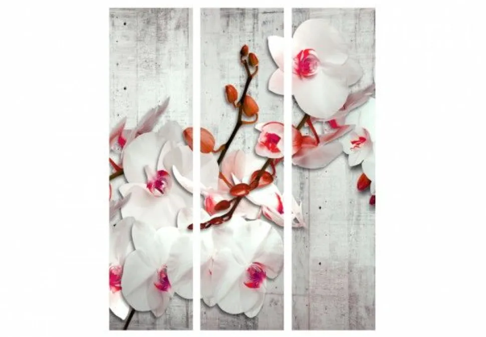 Separè Orchidea Rosa 2