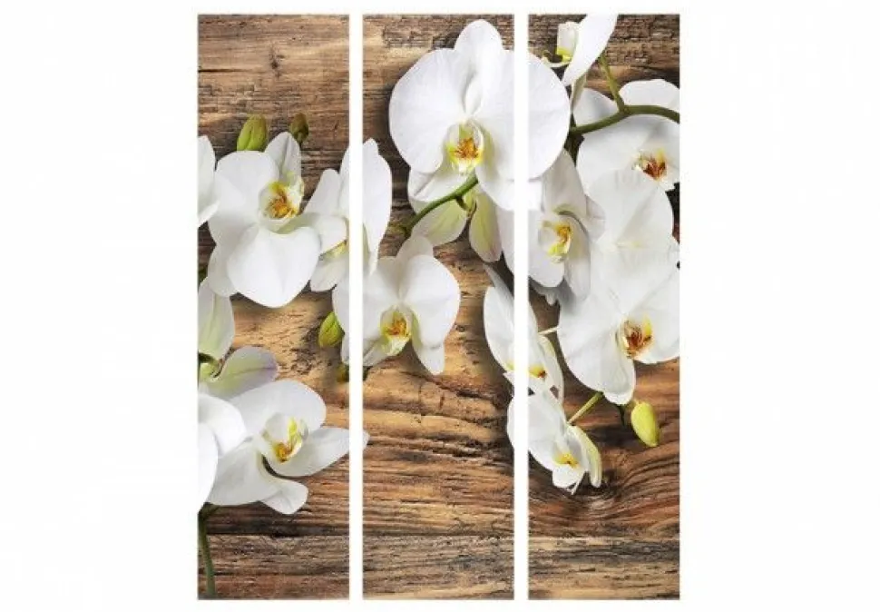 Separè Orquidea 2