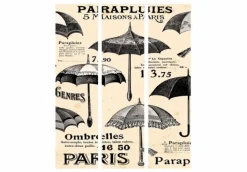 Separè Parapluie 2