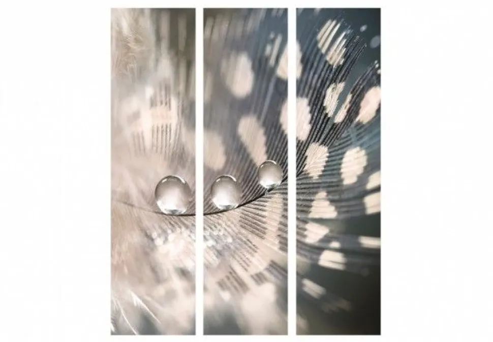 Separè Particle 2