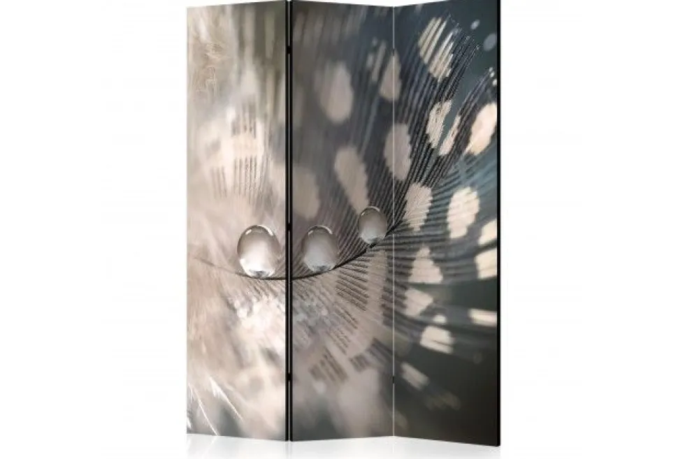 Separè Particle 2